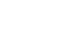 Truest Insurance